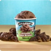 97 Ben & Jerry's Chocolate Fudge Brownie 100ml
